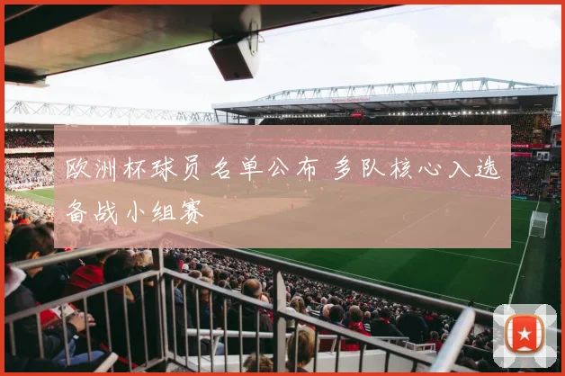 欧洲杯球员名单公布 多队核心入选备战小组赛