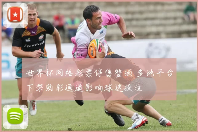 世界杯网络彩票停售整顿 多地平台下架购彩通道影响球迷投注