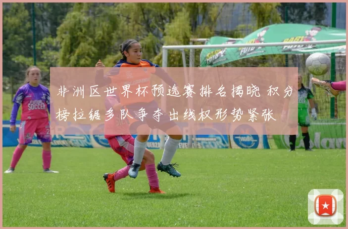 非洲区世界杯预选赛排名揭晓 积分榜拉锯多队争夺出线权形势紧张